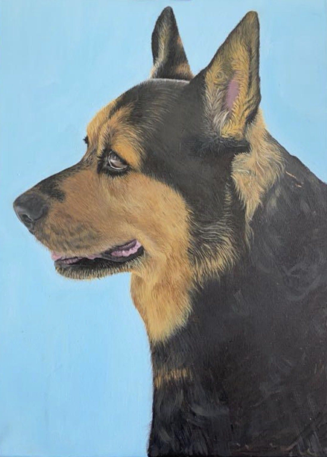 Shepherd in profile — acrylic on canvas by Tatiana Clover
